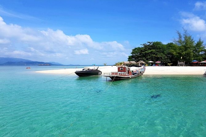 Pig Island Experience By Speed Boat, Snorkeling, Kayaking Relaxing on the Beach - Pig Island delivers the tour’s most unusual moment