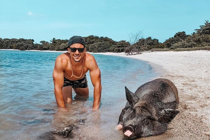 Pig Island Experience By Speed Boat, Snorkeling, Kayaking Relaxing on the Beach - Koh Tan offers a short snorkeling stop