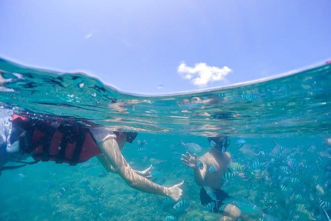 Pig Island & Koh Tan Tour by Speed Boat (Snorkeling & Kayaking) - Lunch beside the beach