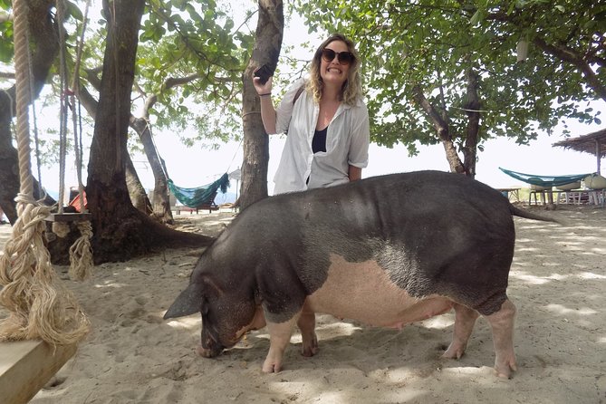 Pig Island Snorkeling & Sightseeing Tour By Speedboat From Koh Samui - Lunch, drinks, and what is covered