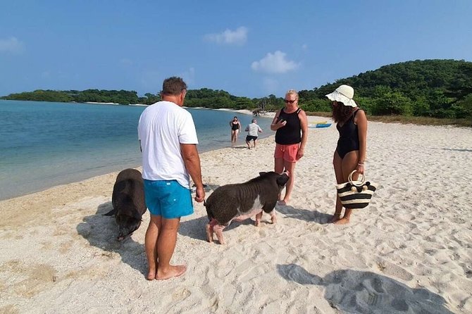 Pig Island Snorkeling & Sightseeing Tour By Speedboat From Koh Samui - Speedboat comfort, group size, and timing