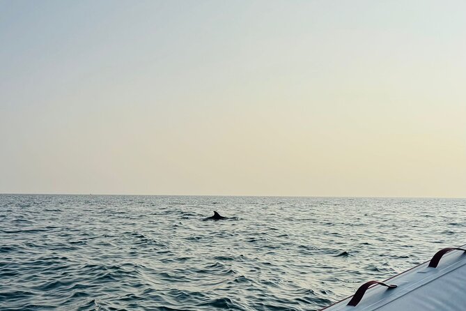 Porec Sunset Shared Cruise on Speedboat with Dolphin Sightseeing - What a 90-minute cruise feels like
