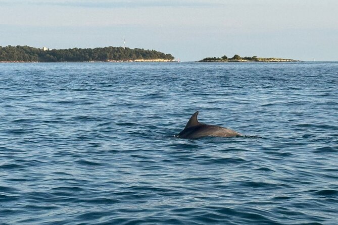 Porec Sunset Shared Cruise on Speedboat with Dolphin Sightseeing - Practical details to sort out before booking