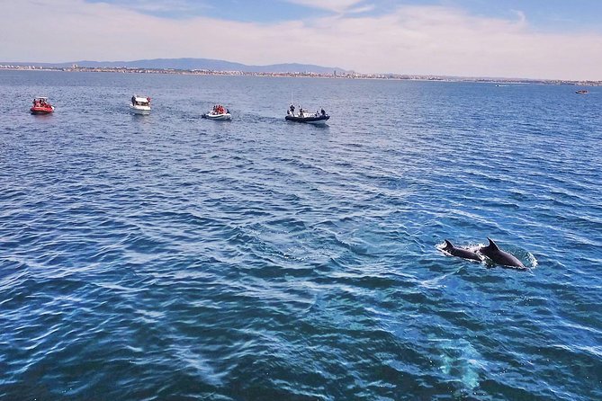 Portimão: Benagil Caves Speedboat Tour - Is $24.17 a good price?