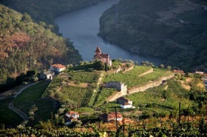 Porto 6 bridges Speedboat Tour along the Douro - Key points to know before you book