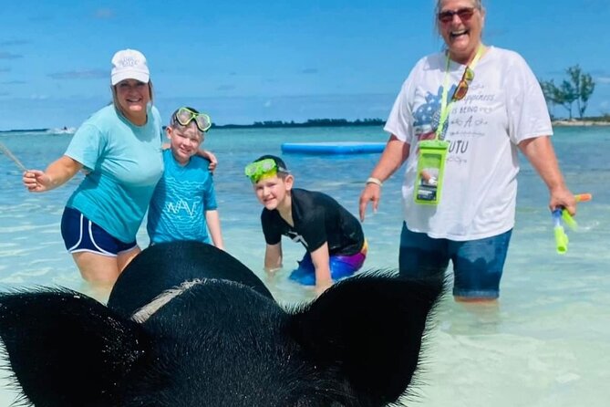 Powerboat and Snorkel Experience with Swimming Pigs and Turtles - What this Bahamas boat trip is really like