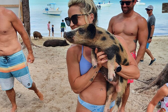 Powerboat and Snorkel Experience with Swimming Pigs and Turtles - Sandy Cay and the beach pause