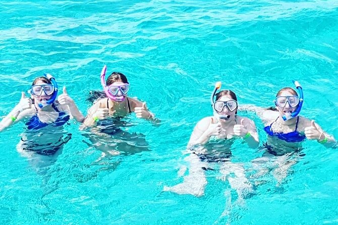 Powerboat and Snorkel Experience with Swimming Pigs and Turtles - Safety and weather matter here