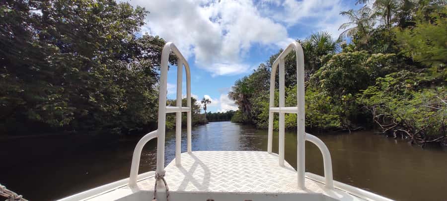 Preguicas River Speedboat Tour - A river route with several different faces