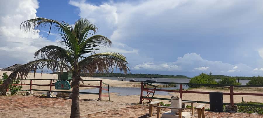 Preguicas River Speedboat Tour - Vassouras and the monkey encounter