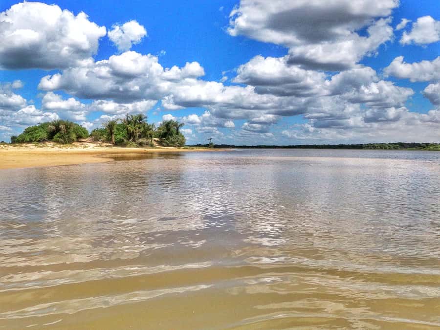 Preguicas River Speedboat Tour - From your hotel to the Barreirinhas port