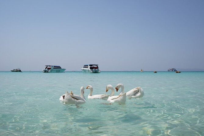 Premium Coral Island Pattaya by Speed boat - Six hours at Tien Beach on Koh Larn
