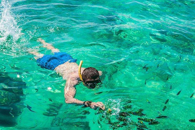 Premium Tour to Phi Phi & Bamboo Island Tours by Speed boat - Bamboo Island gives you the longest island break