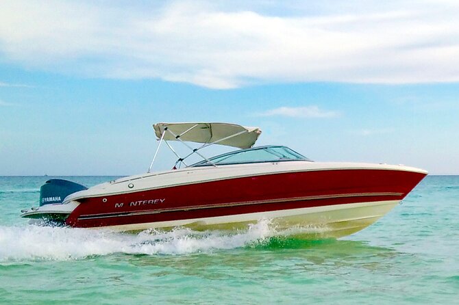 PRIVATE! | 4-hour Speed Boat Trip | Swim With Dolphins, Snorkeling & Island - Snacks, drinks, and the extra transfer cost