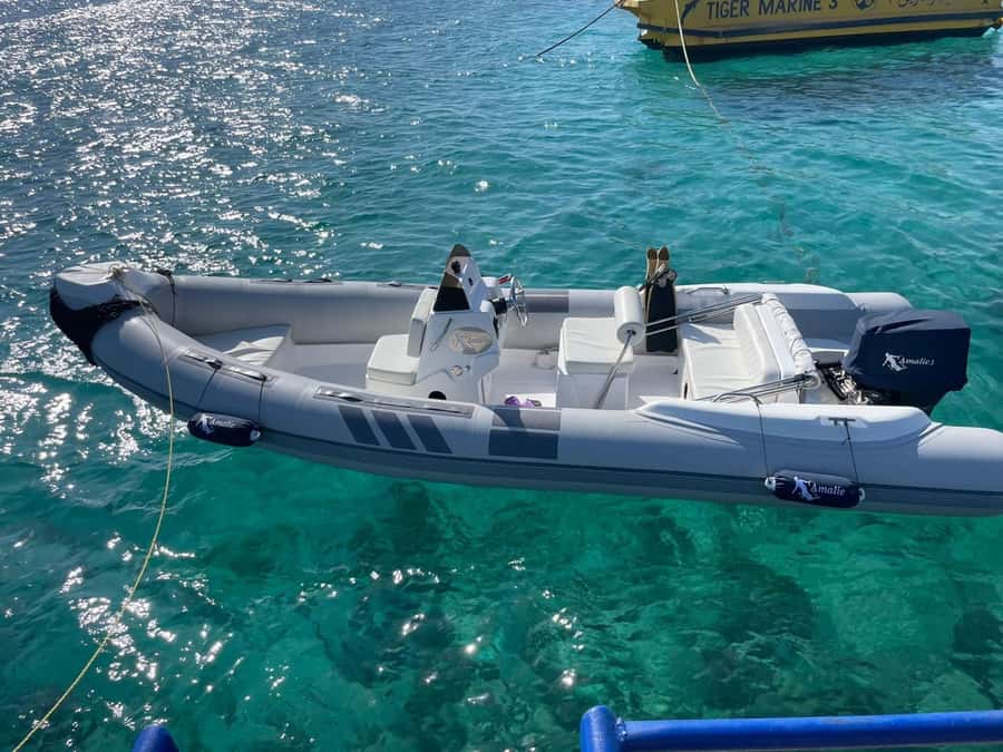 Private 4-Hour Speedboat Trip with Island Stop - Why this private Red Sea trip works well