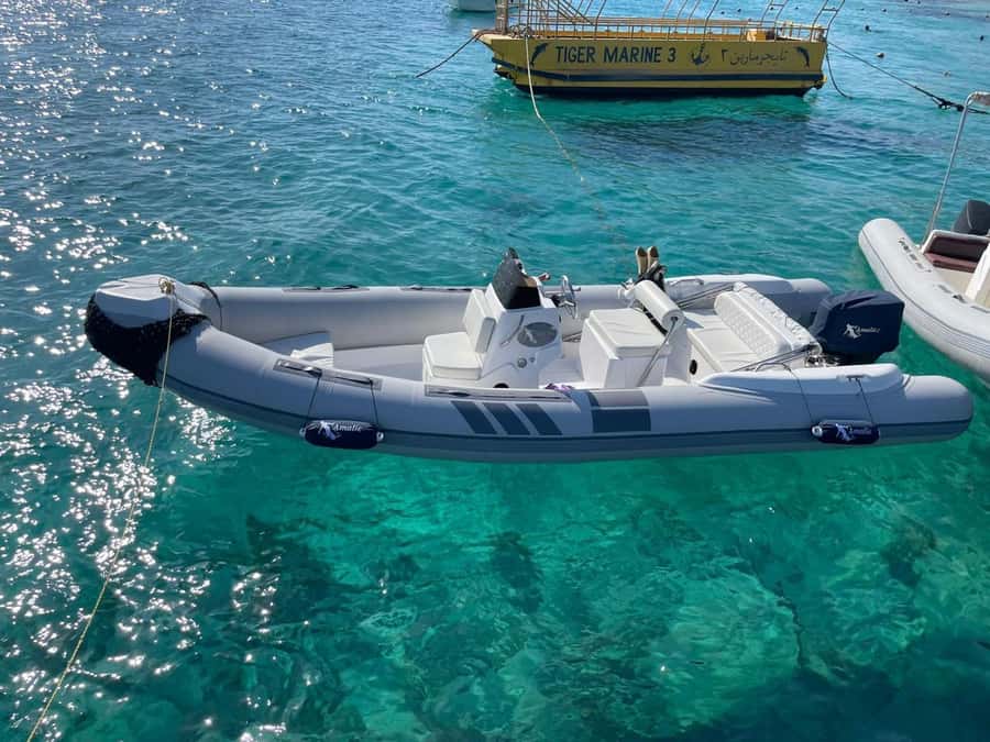 Private 4-Hour Speedboat Trip with Island Stop - Snorkeling in the Red Sea