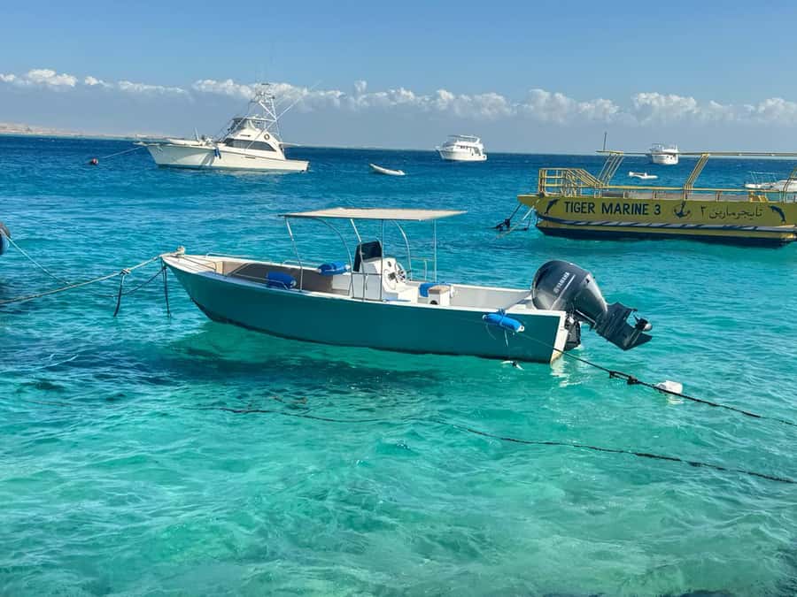 Private 4-Hour Speedboat Trip with Island Stop - Who should book this experience