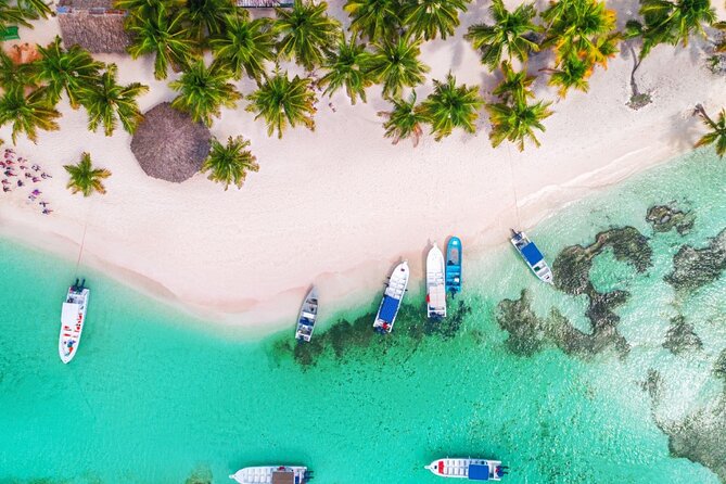 Private Activity Speedboat Ride and Snorkeling in Punta Cana - The guide and staff shape the mood