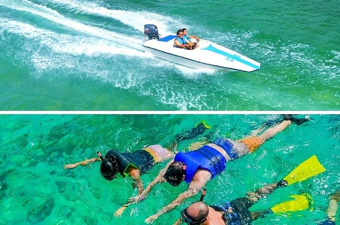 Private Activity Speedboat Ride and Snorkeling in Punta Cana - Weather and cancellation rules matter here
