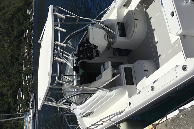 Private All Inclusive Speedboat to Soufriere with Lunch, Mud Bath & Waterfall - Jalousie Beach and marine reserve snorkeling