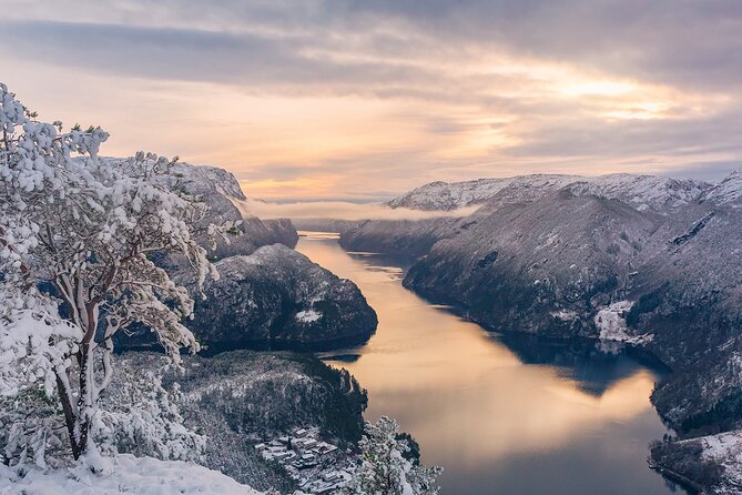 Private Cruise: Mostraumen by Zodiac or Lux Pontoon Boat - Choosing between the pontoon and the Zodiac