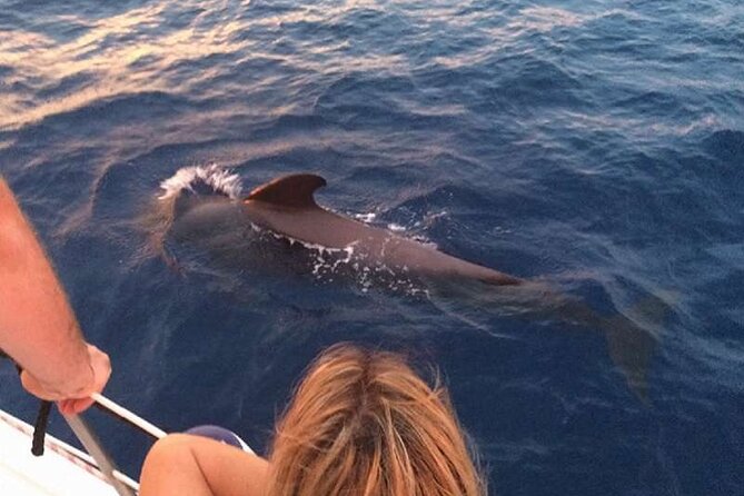 Private Glamorous Speedboat in Tenerife with Snacks & Drinks - Who gets the best value from this Tenerife charter?