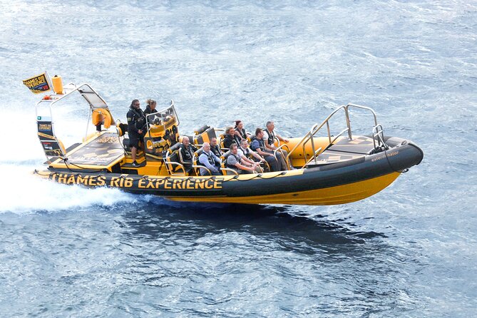 PRIVATE HIRE 45 min Speedboat Tour - Embankment/Westminster Pier - Why a Thames RIB gives London a different view