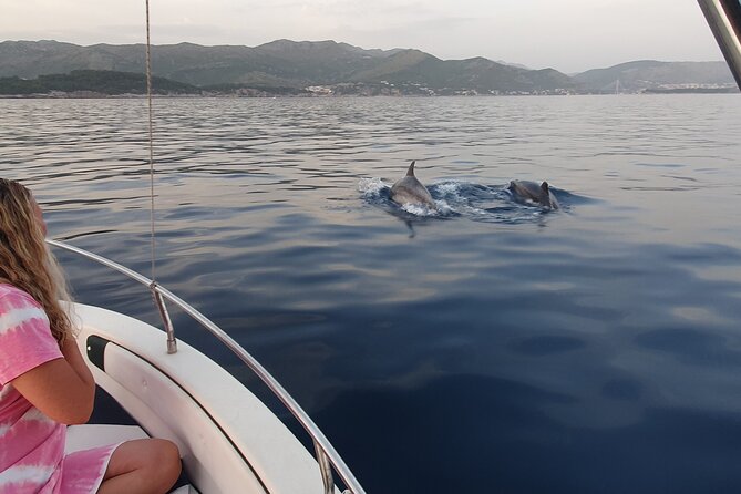 Private Local Guided Speedboat Tour in Dubrovnik Archipelago - Šunj Beach: an hour on Lopud’s sand