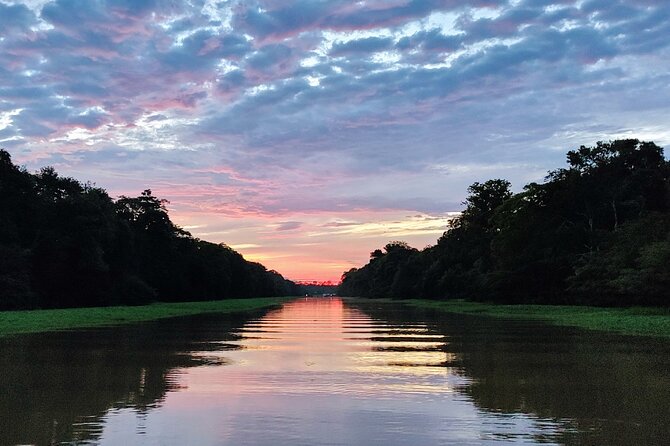 Private River Tour by Speedboat in the Amazon, Lily Pads & Nature - Seeing life in a floating village