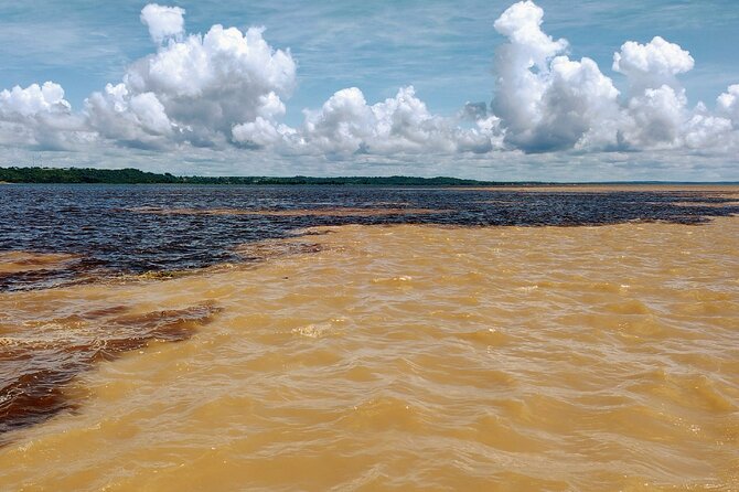 Private River Tour by Speedboat in the Amazon, Lily Pads & Nature - Entering the flooded igapó forest