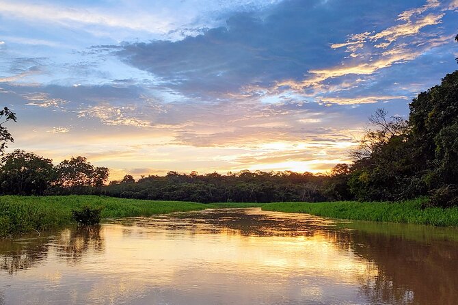 Private River Tour by Speedboat in the Amazon, Lily Pads & Nature - Feeling the Meeting of the Waters