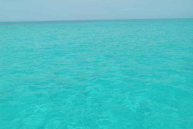 Private speed boat beach and bar hopping visiting Rose island - Key points about this Nassau boat trip