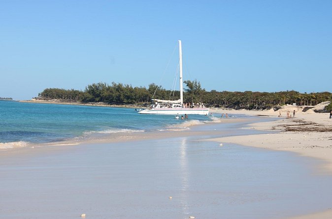 Private speed boat beach and bar hopping visiting Rose island - Snorkeling and the possibility of swimming pigs