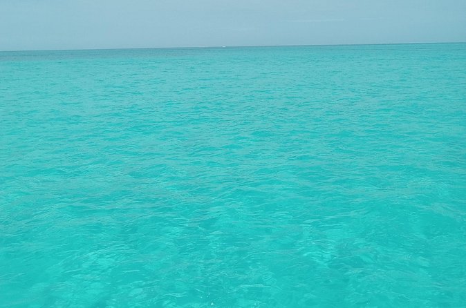 Private speed boat beach and bar hopping visiting Rose island - Why the private format matters