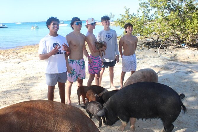 Private speed boat beach and bar hopping visiting Rose island - Rose Island and the appeal of a private beach stop