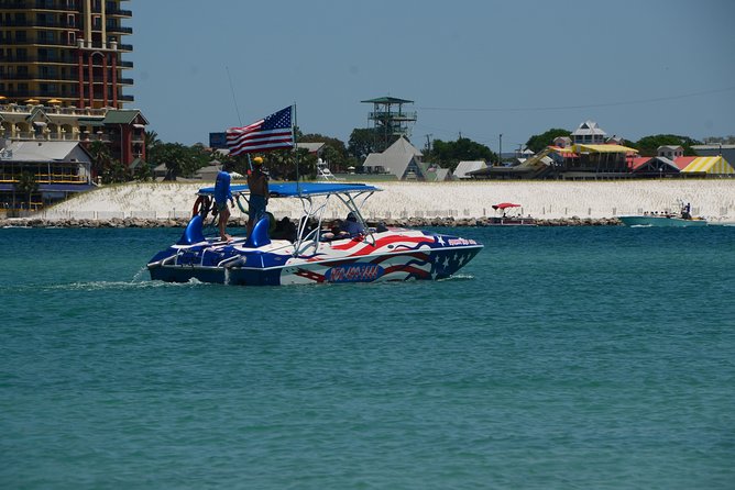 Private Speed Boat Charter with Experienced Captain - Dolphins, baby dolphins, and possible shark sightings