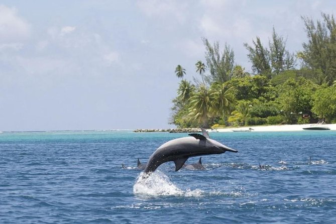 Private Speed Boat Charter with Experienced Captain - What the captain adds to the experience