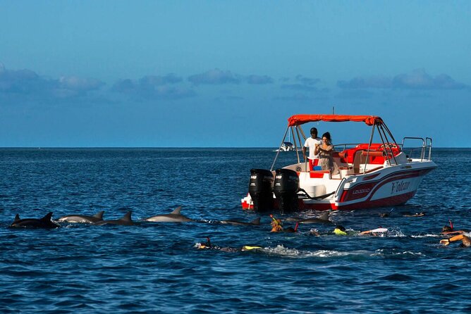 Private Speed Boat Experience To Dolphin House in Hurhgada - A Private Way to Reach Dolphin House from Hurghada