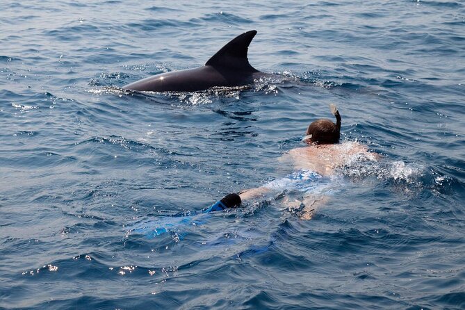 Private Speed Boat Experience To Dolphin House in Hurhgada - The Real Value of a Private $75 Trip