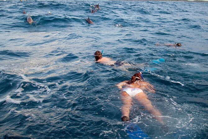 Private Speed Boat Experience To Dolphin House in Hurhgada - Who Should Book This Hurghada Boat Trip?