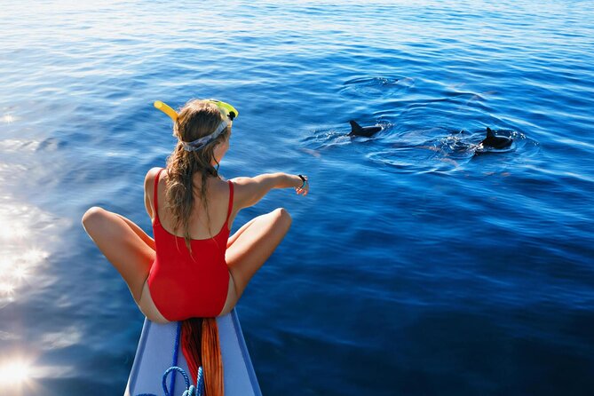 Private Speed Boat Experience To Dolphin House in Hurhgada - Booking Details and Cancellation Advice