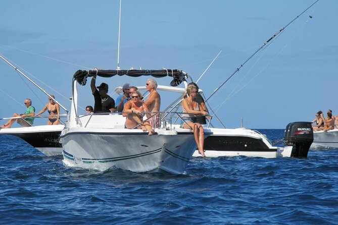 Private Speed Boat Experience To Dolphin House in Hurhgada - Searching for Dolphins at Dolphin House