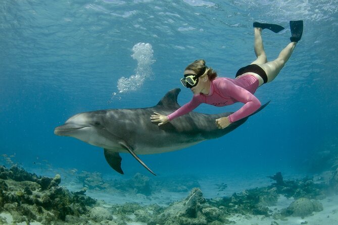 Private Speed Boat Snorkeling with Dolphins Trip - Hurghada - Key points to know before you book