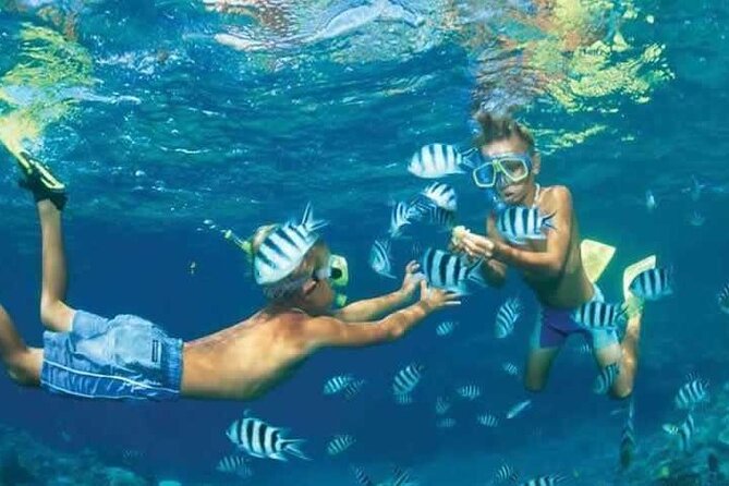 Private Speed Boat Snorkeling with Dolphins Trip - Hurghada - Snorkeling over Red Sea coral