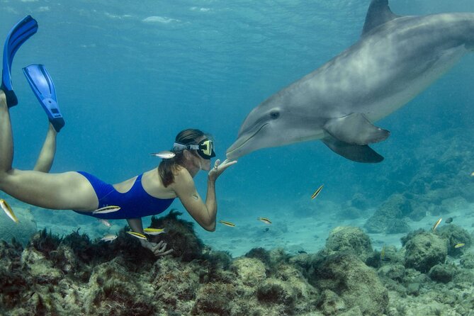 Private Speed Boat Snorkeling with Dolphins Trip - Hurghada - The 7:30 am pickup from your hotel