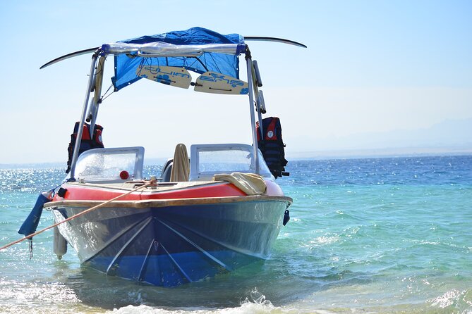 Private Speed Boat & Swim With Dolphins & Water Sports-hurghada - What the private format really adds