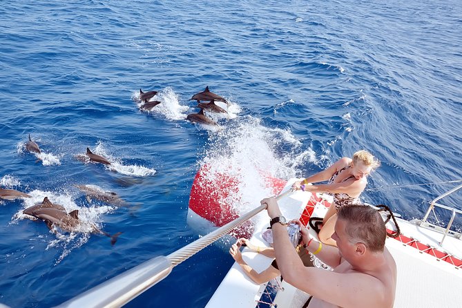 Private Speed Boat to DOLPHINS House & Water activities -HURGHADA - Leaving Hurghada by air-conditioned transfer
