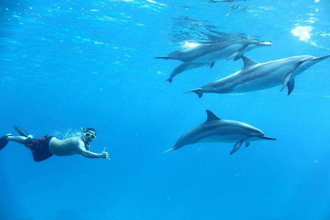 Private Speed Boat to Magawish Island's Hidden Wonders - Hurghada - Who will enjoy this outing most