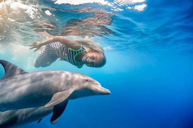 Private Speed Boat to Magawish Island's Hidden Wonders - Hurghada - Two snorkeling stops on the Red Sea