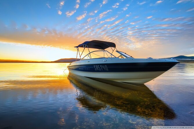 Private Speed Boat Tour and Dolphin Encounter at Ile aux Benitier - A private boat day built around dolphins